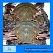 blue swimming crab frozen crab